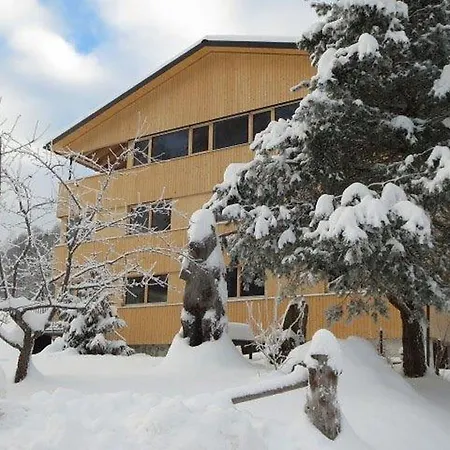 Haus Katharina Apartment Schnepfau Exterior photo