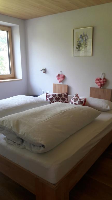 Haus Katharina Apartment *